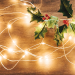 Make Sure your Fairy Lights Are Safe this Christmas!