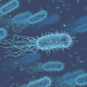 Legionella: Why And Where You Should Be Testing