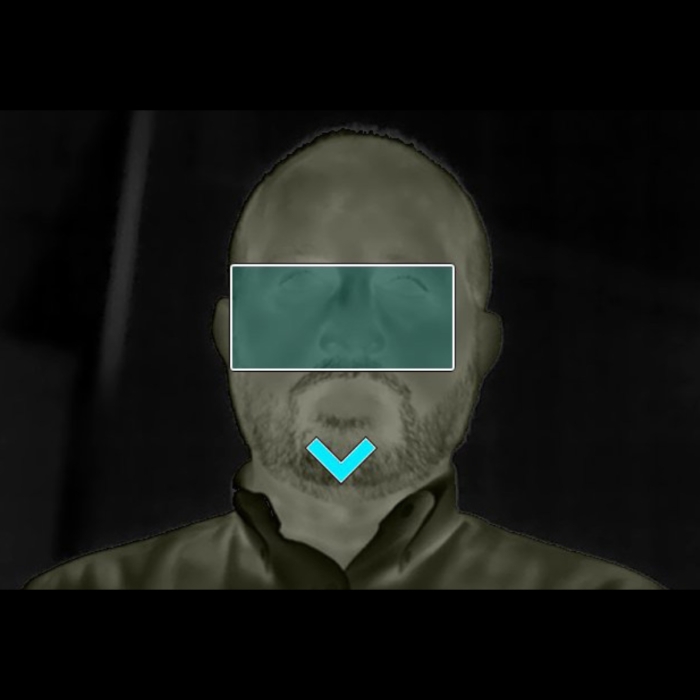 FLIR Screen-EST Mode Auto Mode